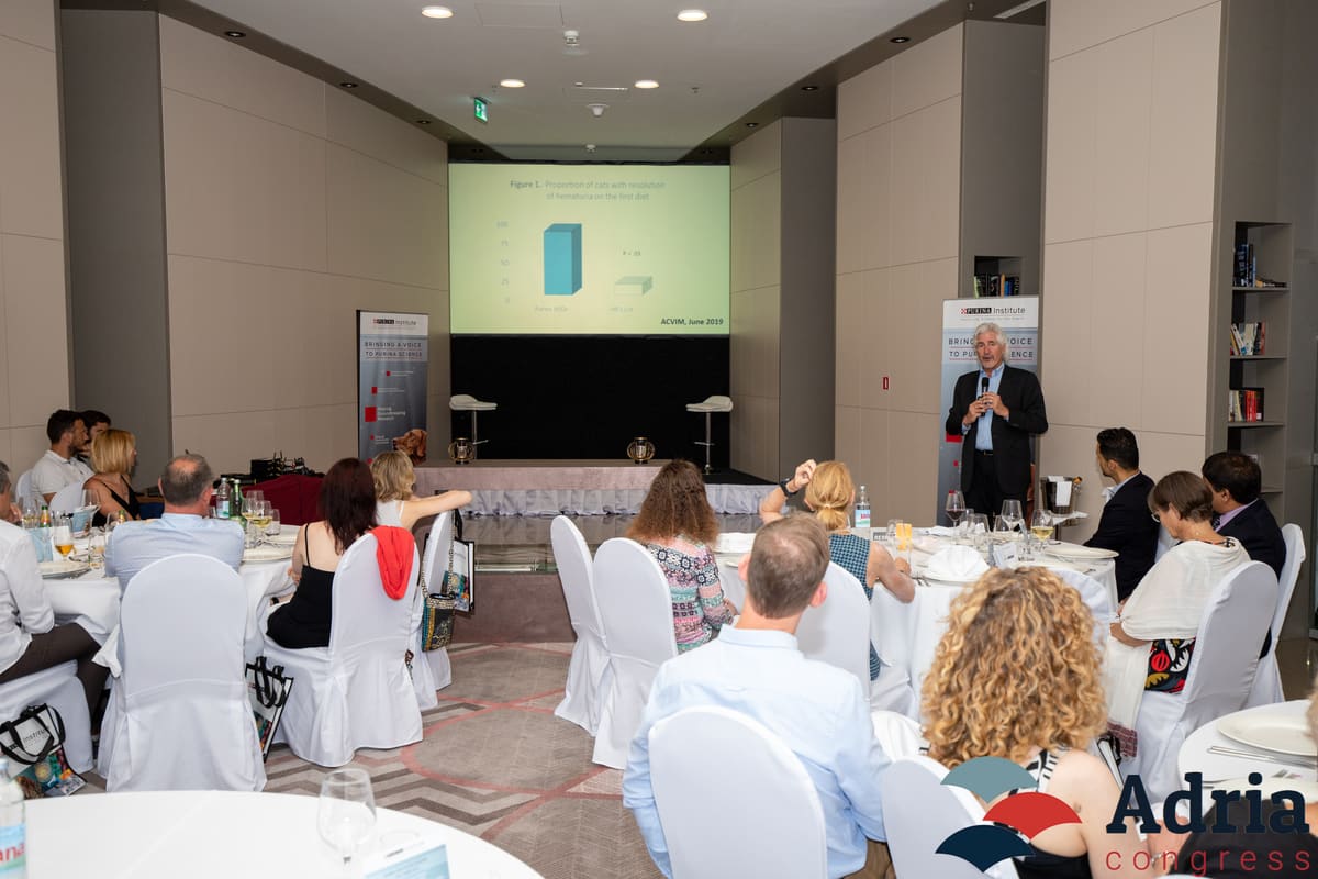 Presentation to guests at round tables during the Purina corporate event 2019